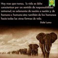 /album/frases-en-imagenes/a392801-10151339518012761-897426419-n-copia-jpg/